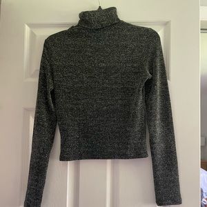 H&M Shimmery Turtleneck